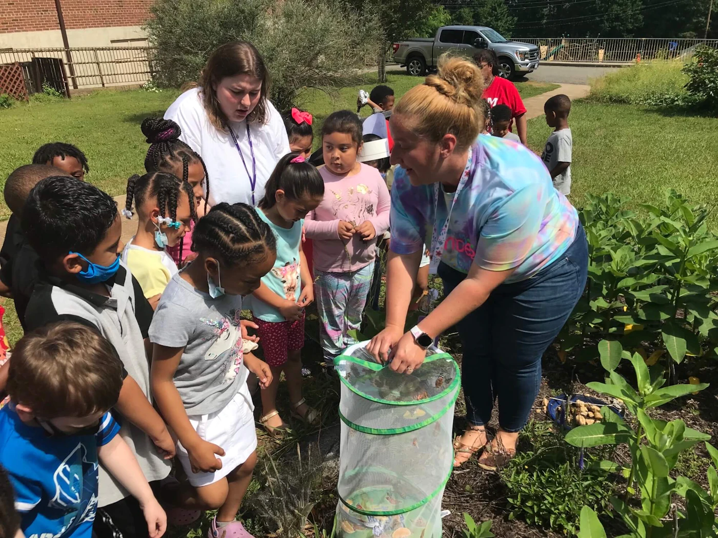 Students in Marinsville Use Problem-Based Learning to Create a Pollinator and Vegetable Garden