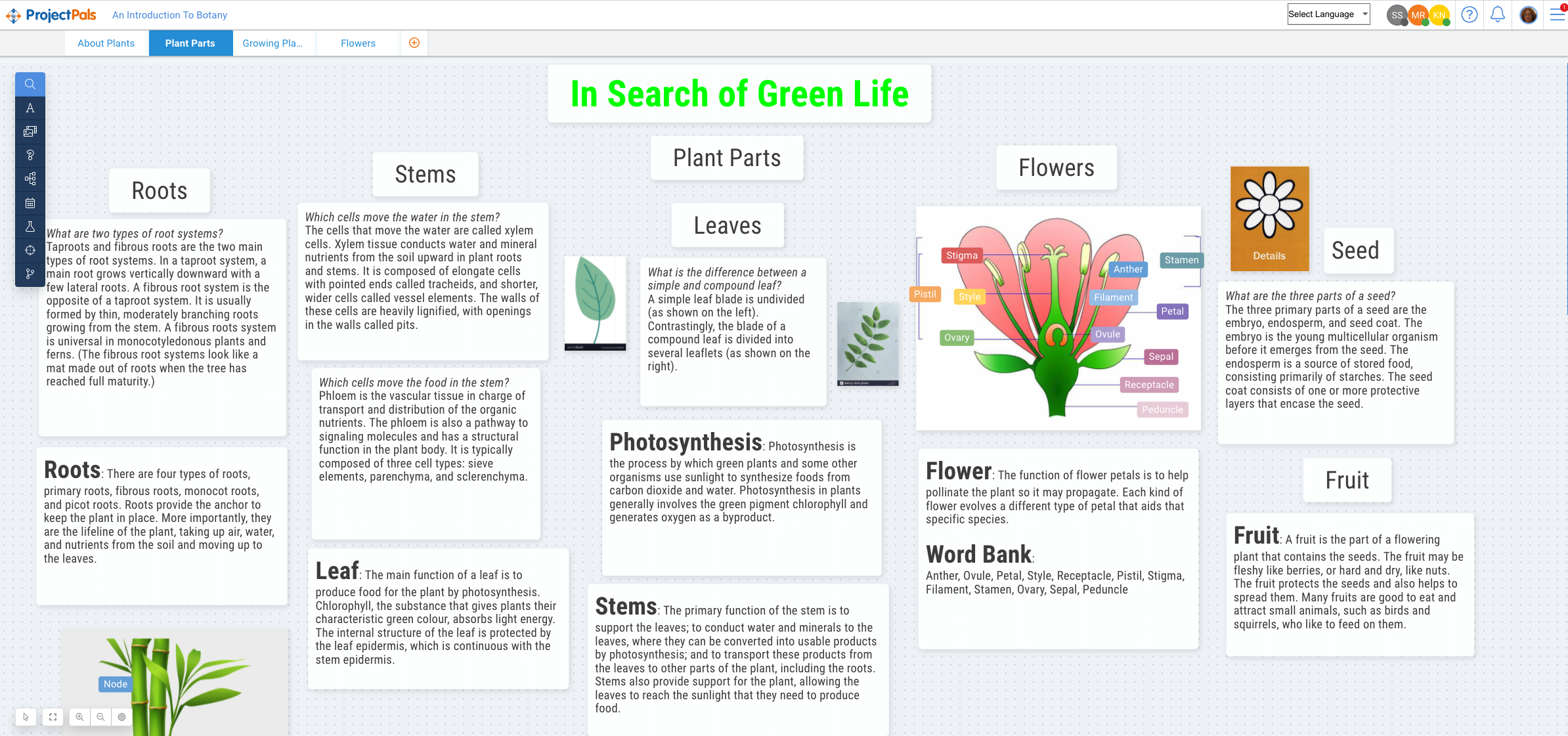 Screen Shot 2021-05-20 at 12.57.05 PM
