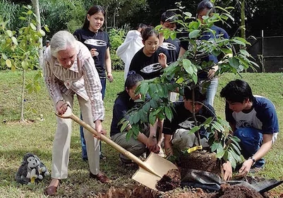 Encouraging a Self-Directed Project-Based Learning Approach With Jane Goodall’s Roots and Shoots Curriculum